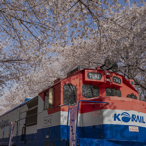 부산 삼성 여행사