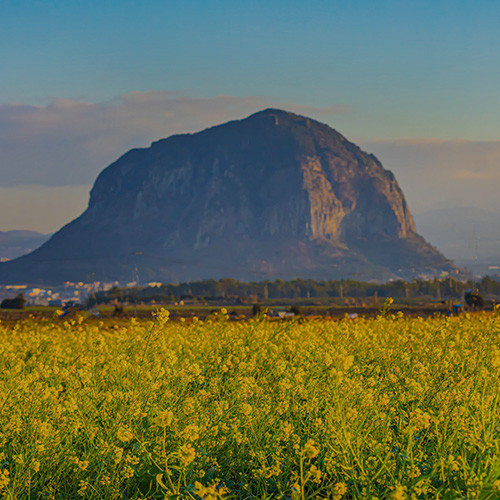 강남 테마 여행사